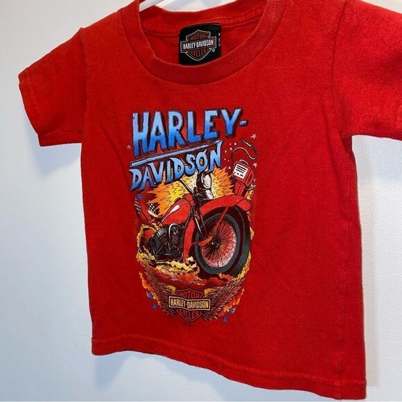 Kid’s Harley Davidson’s Double Sided Motorcycle Graphic T-Shirt - Picture 2 of 6